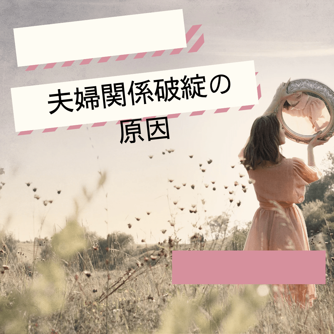 「夫婦関係破綻の原因」とのタイトルの記載と、背景に草原にピンクのワンピースを着用した若い女性の後ろ姿